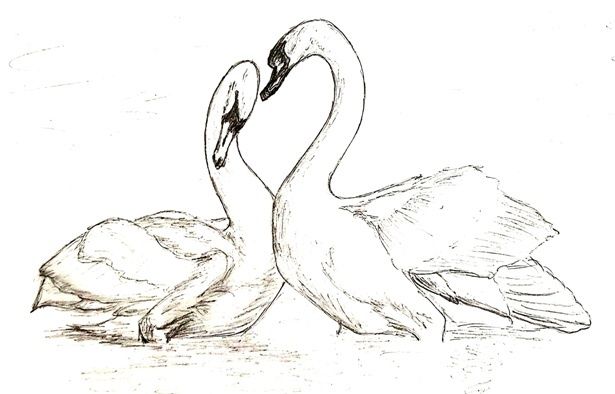 ������� �����: ��� ��������� ��������� �� ����� ������