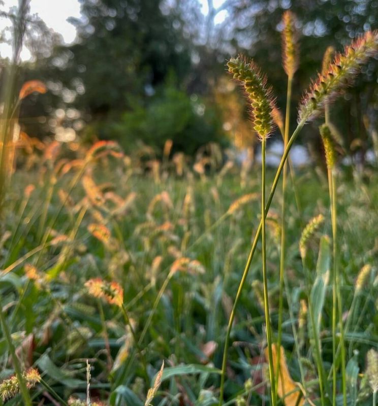 ����������-������������� �������: ���� � ��������� ����� ������