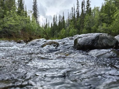 ������ ������ �� ������� �����