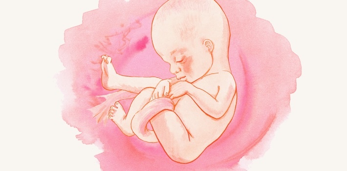 Как пренатальные травмы формируют созависимость: проникаем в глубины психологии