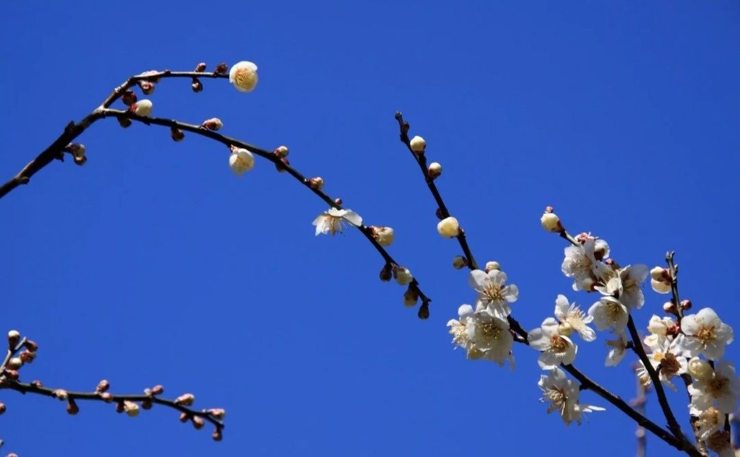 ��� ������� ����� ����� ����� ���������� � ������������