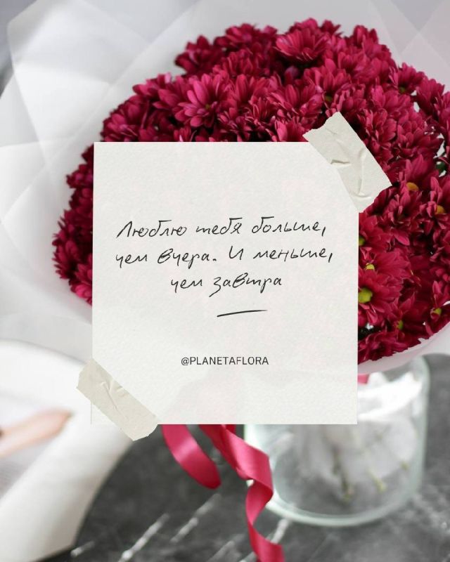 ������������ 14 �������: ��� �������� ���� �������