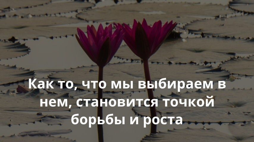 Как выбор партнёра формирует нашу жизнь и отношения