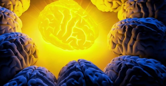 Как осознанность меняет наш мозг и потенциал