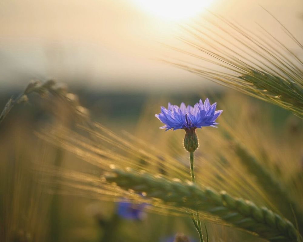 ���������� � ������� � �����: ��� ������������ �� ������������ ��������