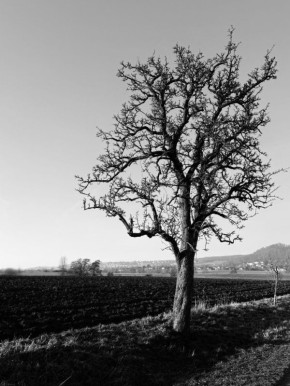 Одиночество: Как жить в гармонии с собственными чувствами