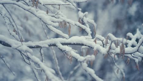 Ҹ���� ���� � ������� ����