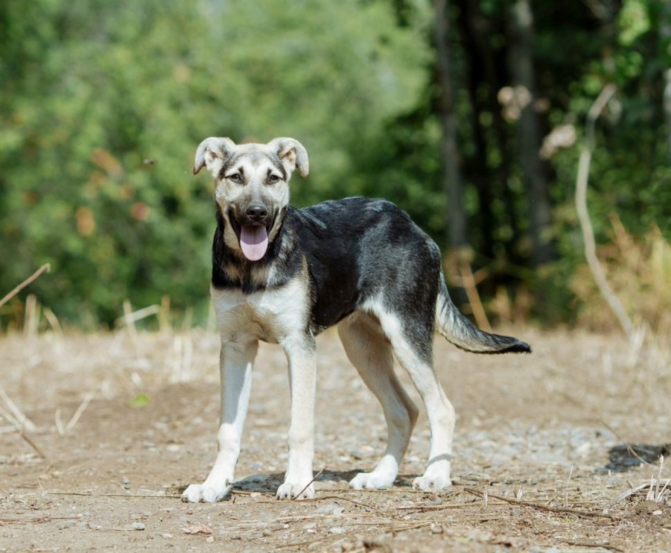 ��������������� ������ ���� �����: �������� ������� � �����