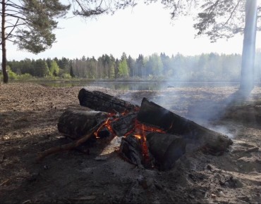 ������ ���� � ��� �����������: ������� �������� � ����� ������ ������