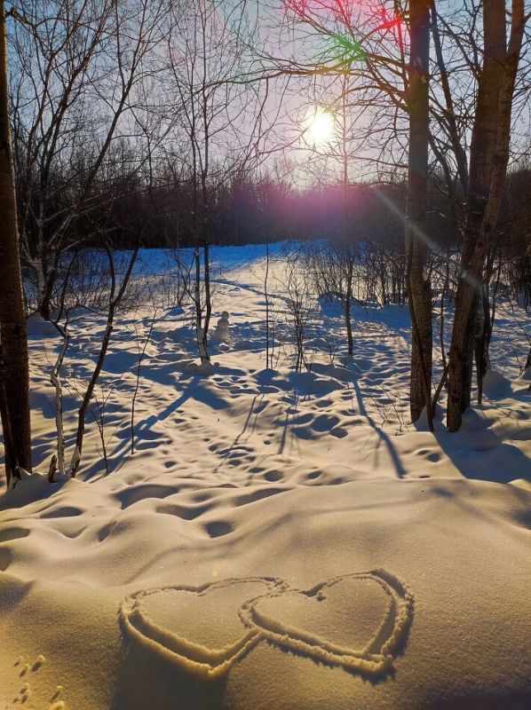 ������ ����� �������� �����������, ������ ��� ������� ����� ���������