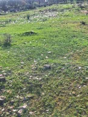 Тишина в расписании: как психологи справляются с отсутствием клиентов