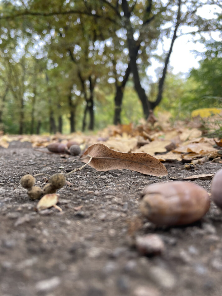 Как терапия принятия и ответственности меняет взгляд на внутренние переживания