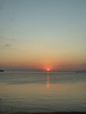 Осознанные прогулки: простое движение для снижения стресса