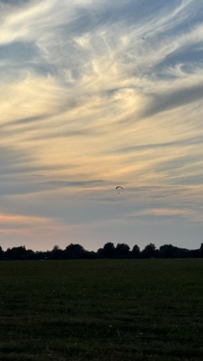 ������� ������� ���������: ��� ������������� �� ���������?