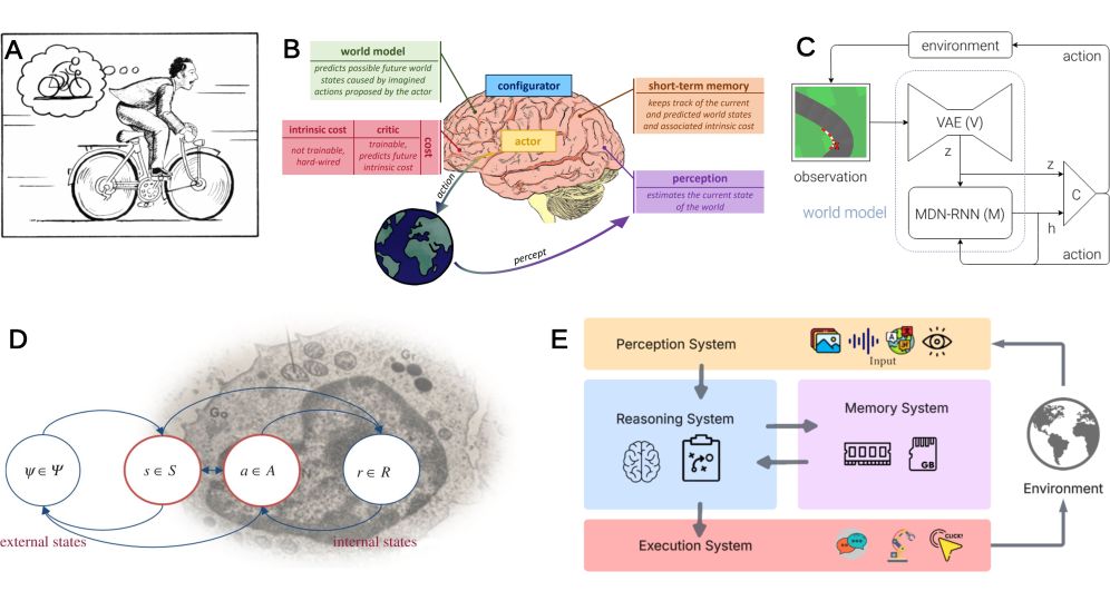 ����� ���������: ��� ����� � �� ���������� � ������������ ������������