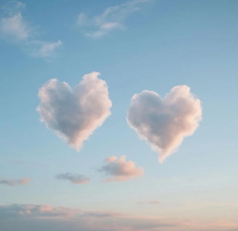 ����� �����: ��� ����� � ��������� ���������� � �����������