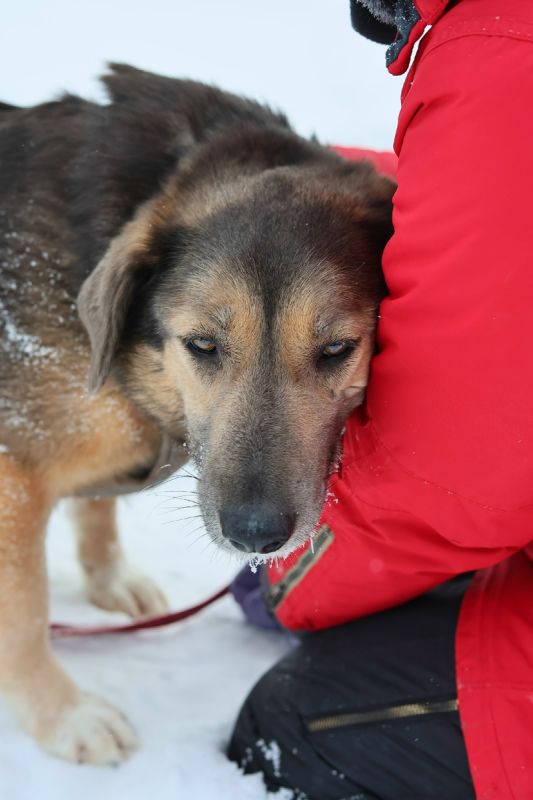 Как ощутить настоящую нежность: встречайте Зиту
