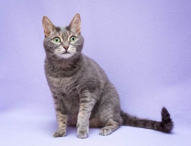 ����� � �����: ��� 1 ����� ���� �� ���� � ������