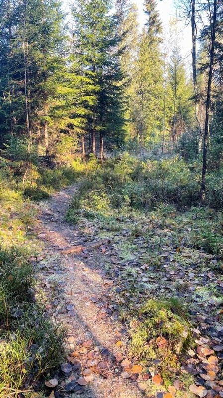 Ночная пора для шопинга: новые тренды и привычки россиян