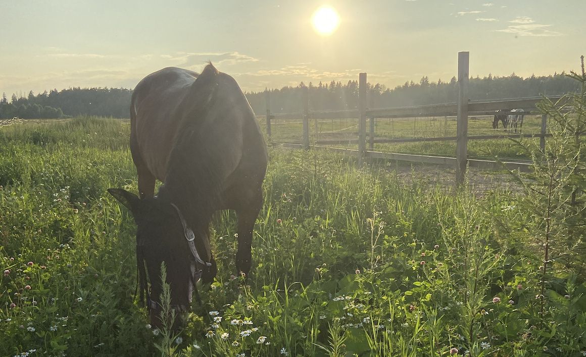 Когда тело помнит, а душа болит: как пережить психологическую травму