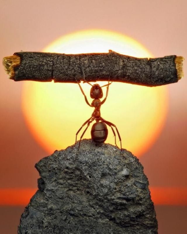 ��� ��������� �������� � ���������� ��������������� � �����