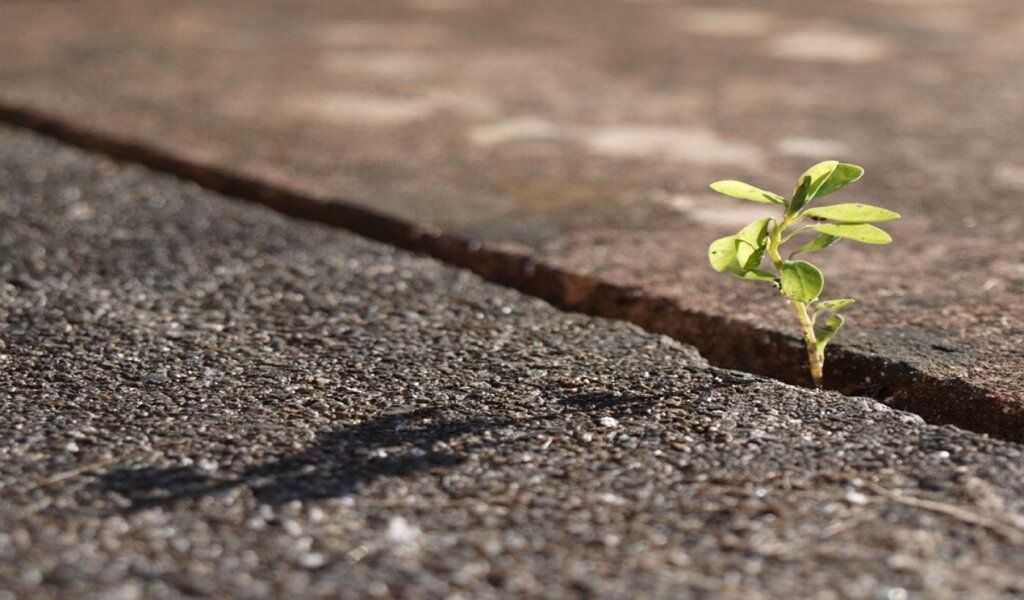 ��������� ��������� ���� ������ � ��������� ����������