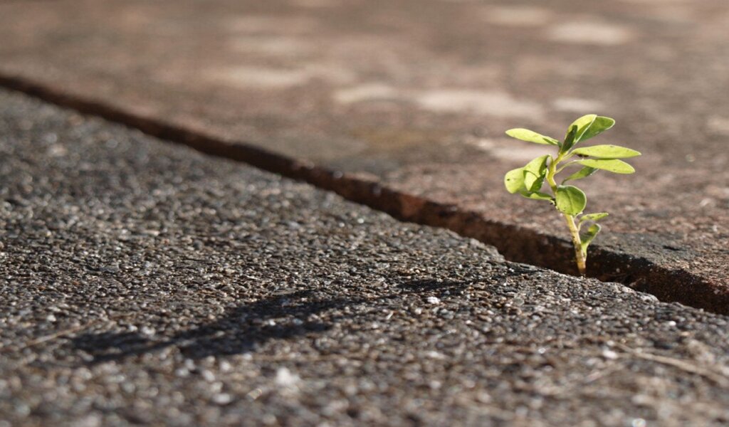 Научитесь различать свою правду в токсичных отношениях