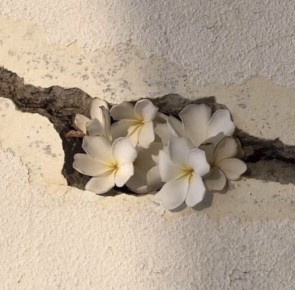 ��� ����� ���������� � ������� �������