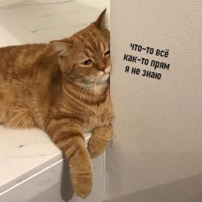 Когда жизнь меняется: как справиться с кризисом идентичности