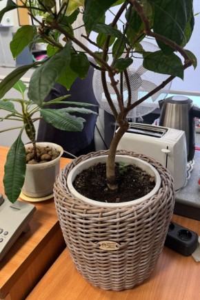 ��� ����� ������� � ������������ �����