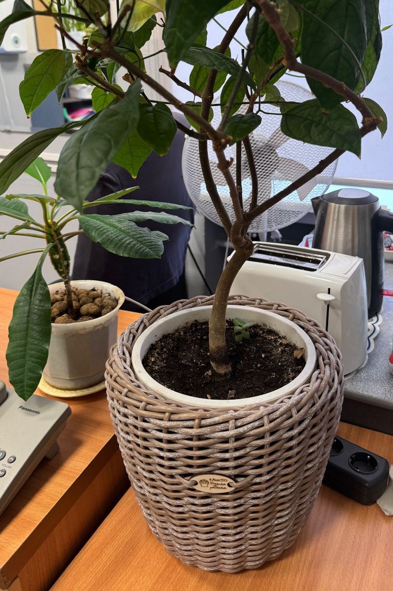 Как найти радость в повседневной жизни