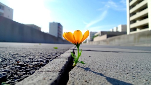 Истории, которые свидетельствуют о том, что добро побеждает зло