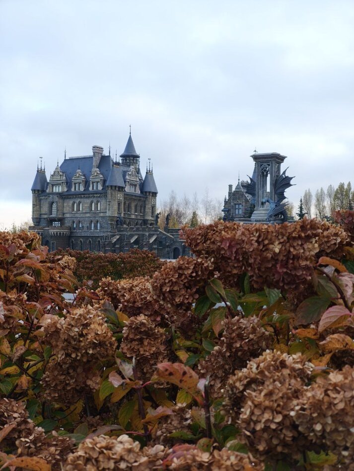 Когда усталость становится нормой: как восстановить радость жизни