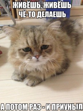 ��� ���������� � �������