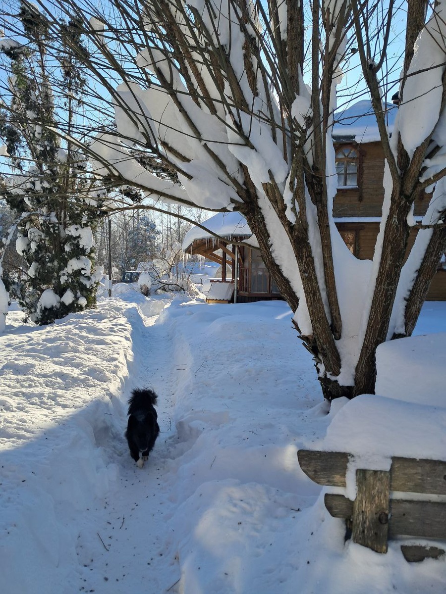 Что такое безусловная любовь на самом деле?