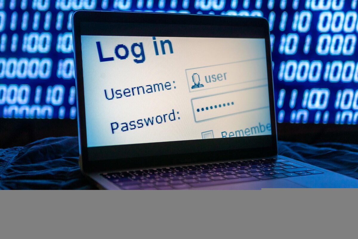 Как мошенники заманивают петербуржцев обещанием легкого дохода