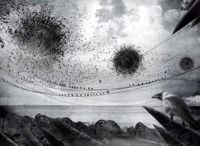 ������ ����� ����� ��-�������: ���������� � ������� ����������