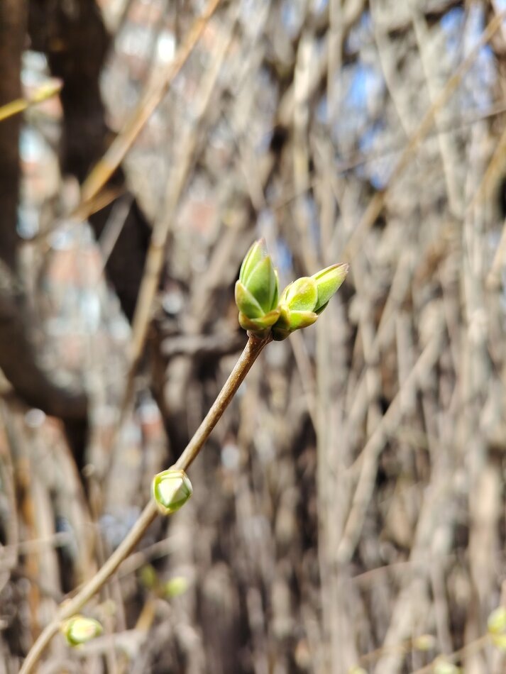 Враги и союзники на пути к успеху