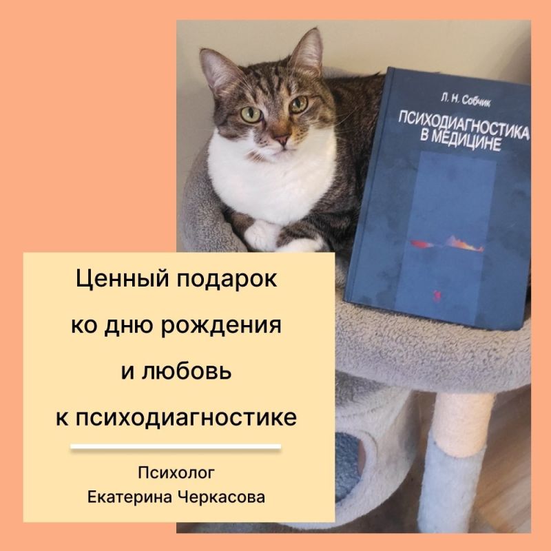 Психодиагностика и котики: как книга стала драгоценным подарком