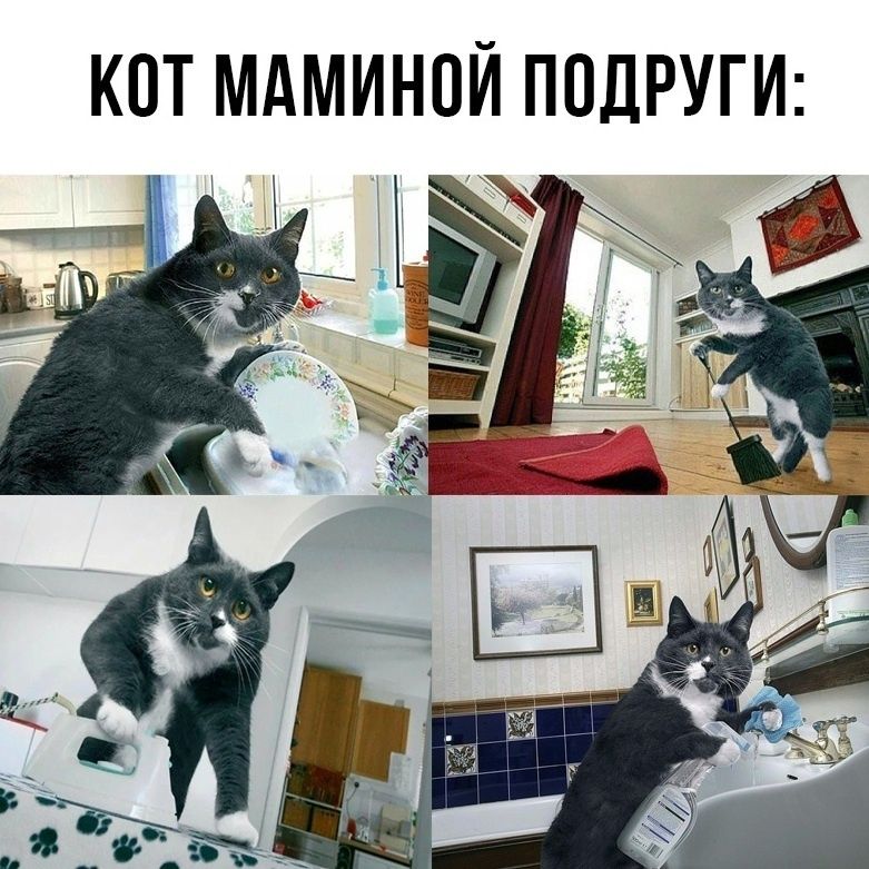 Как идеальные инвестиционные проекты мешают реальным успехам