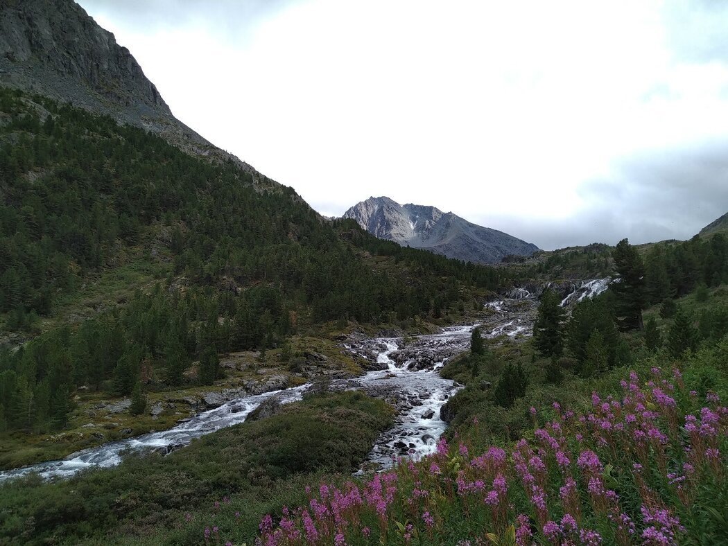 На перекрестке выбора: как принять решение и не застрять навсегда