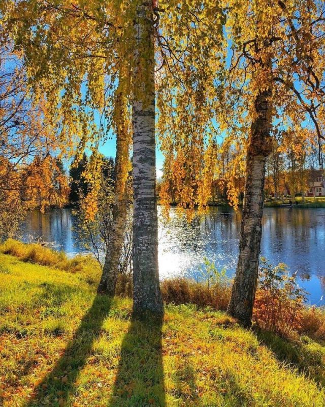 Осенние прогулки: как природа помогает забыть о скуке