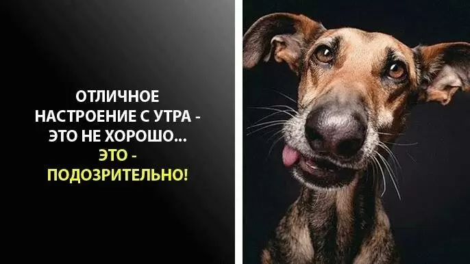 На зарядке позитивом: как настроиться на рабочий день