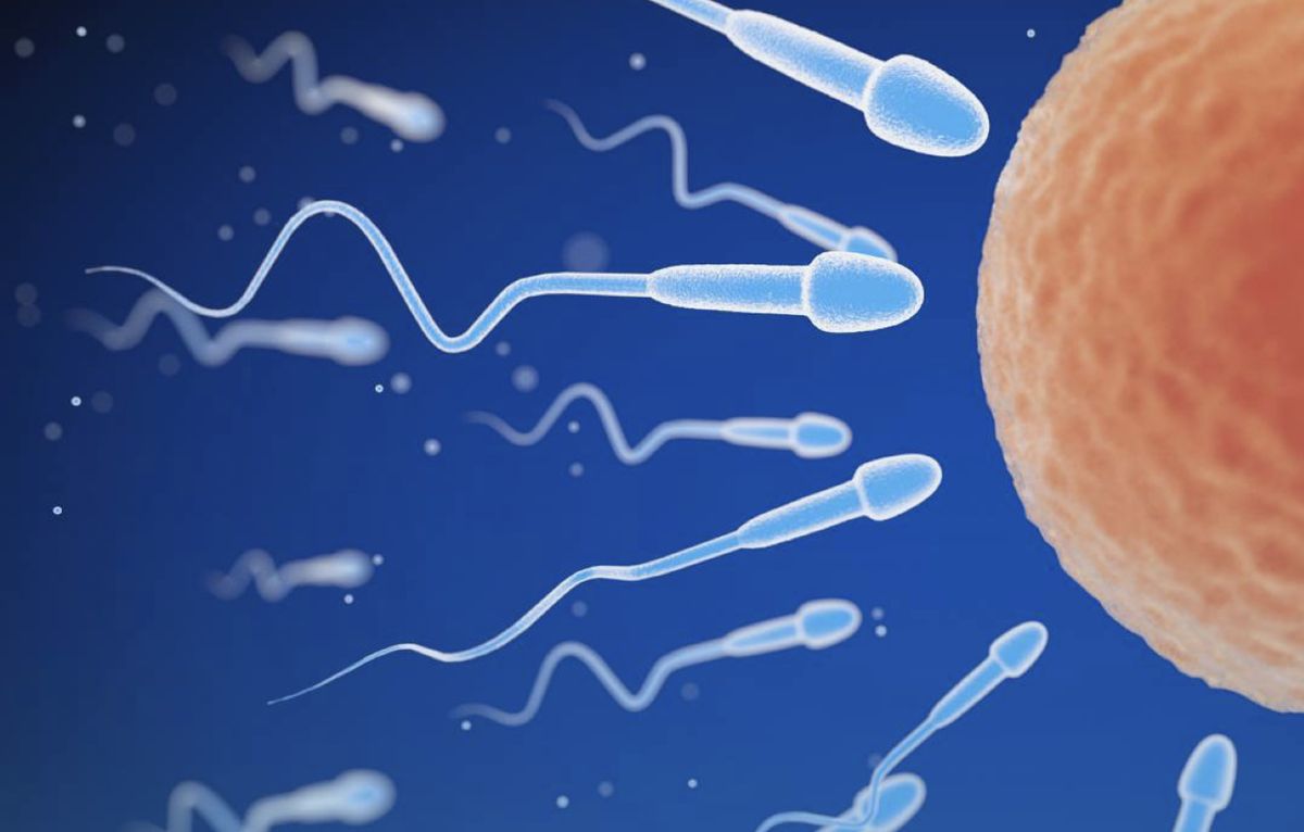 ������� ���������: ������ �����, ������� ����� �����