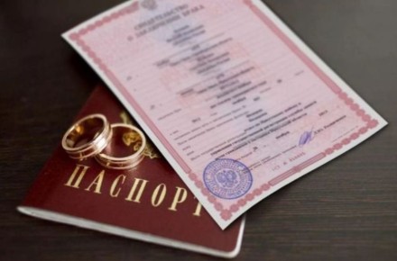 Курянки становятся активнее: разводы по статистике