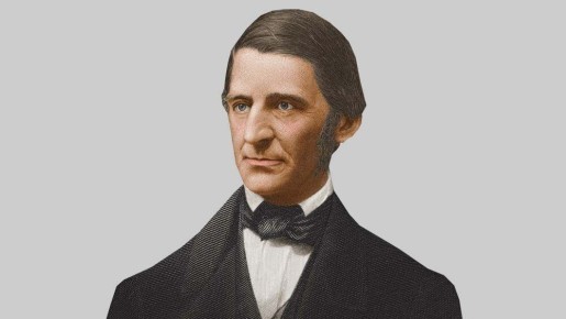 ��� �������� �������� �������� ��������: 7 �������� ��������