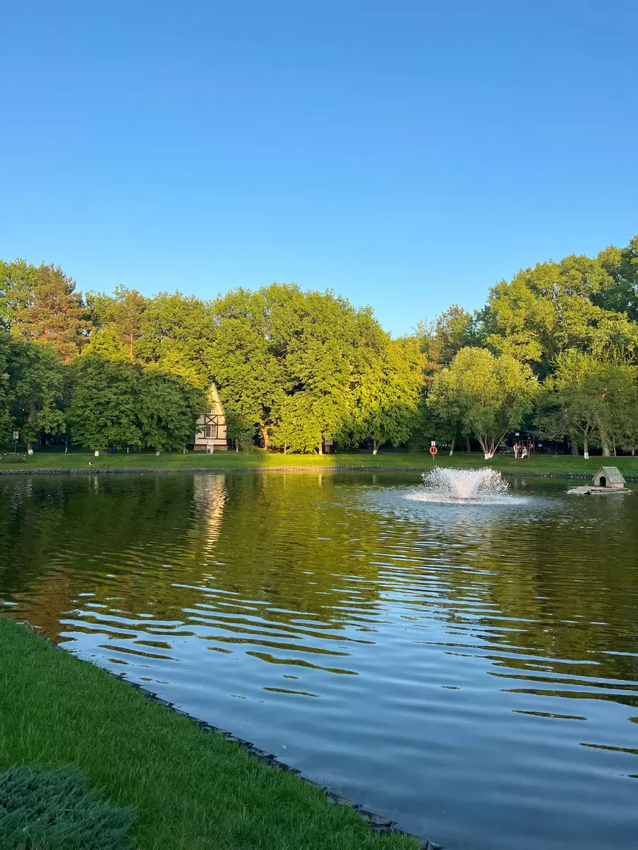 Как изменить свою реальность и избавиться от роли жертвы