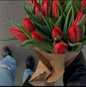 ����� ����� ���������� ��������: �������� � ����������� ������