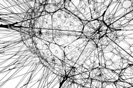 ��������� ���������������: ��������� �� ���� � ������ � ��������