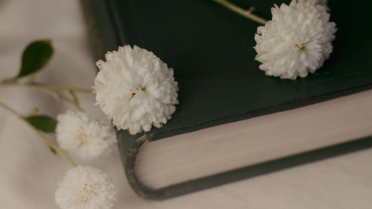 Книги, которые помогают: 11 произведений о преодолении абьюза и возвращении к себе
